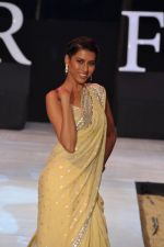Model walk the ramp for Riyaz Gangji Show at IRFW 2012 Day 2 in Goa on 29th Nov 2012 (10).JPG